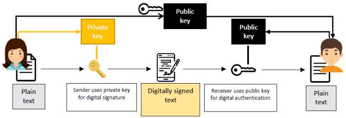 Digital Signatures